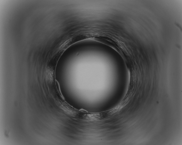 X0000091890188200709051350