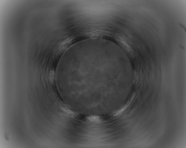 X0000091890189200709051350