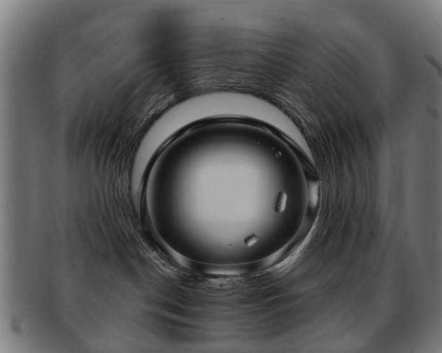 X0000091890190200709051350