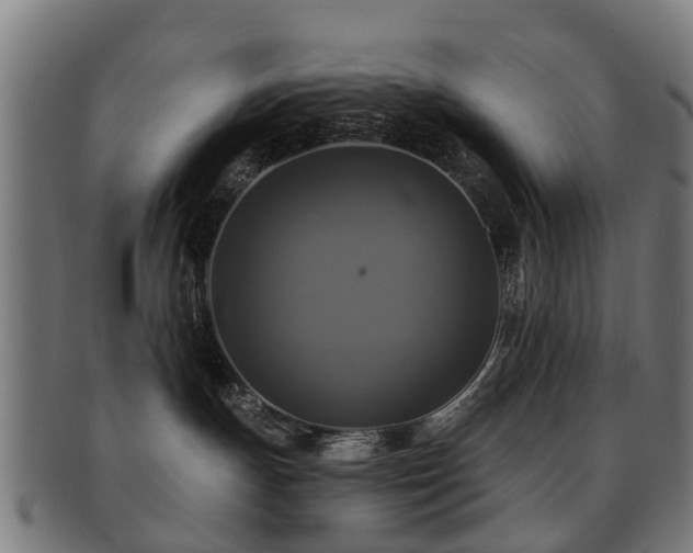X0000091890191200709051350
