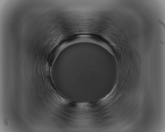 X0000091890192200709051350