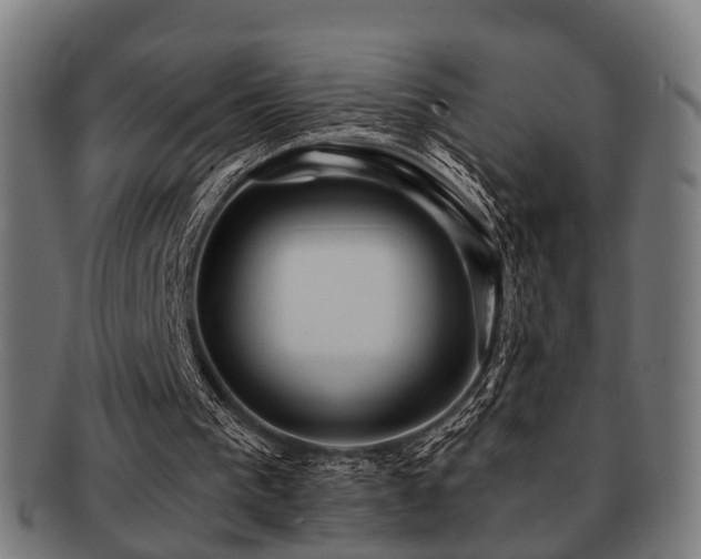 X0000091890193200709051350