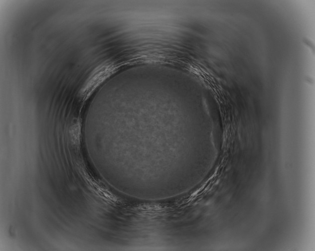 X0000091890194200709051350