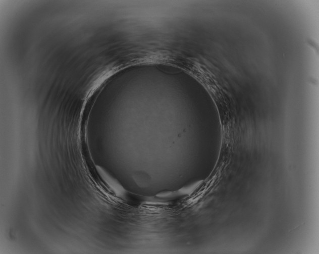 X0000091890196200709051350
