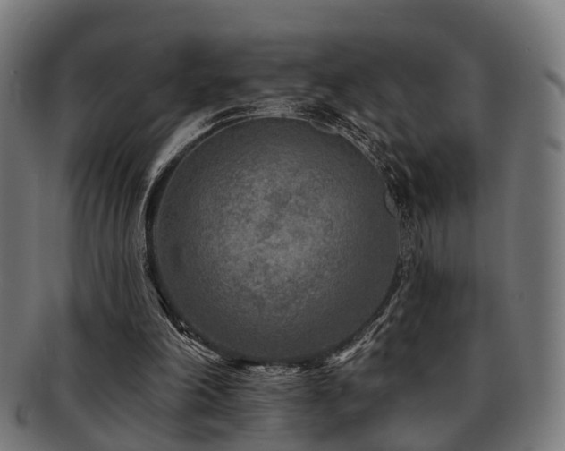 X0000091890198200709051350