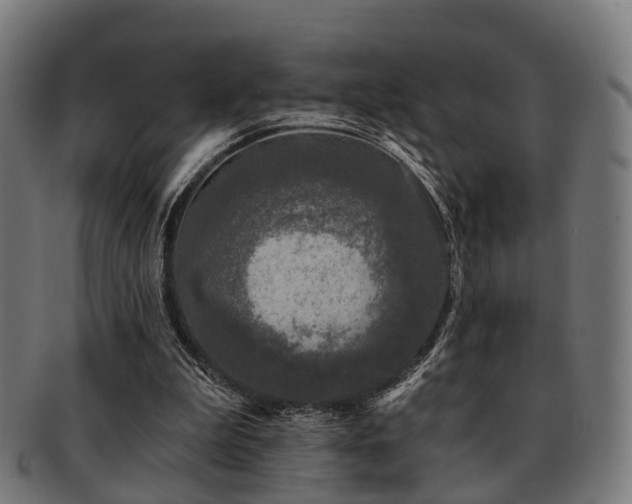 X0000091890199200709051350