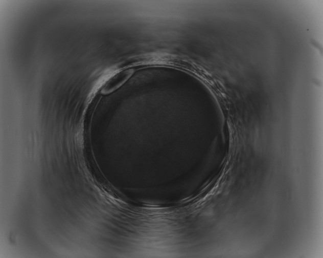 X0000091890200200709051350