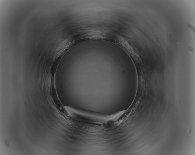 X0000091890202200709051350