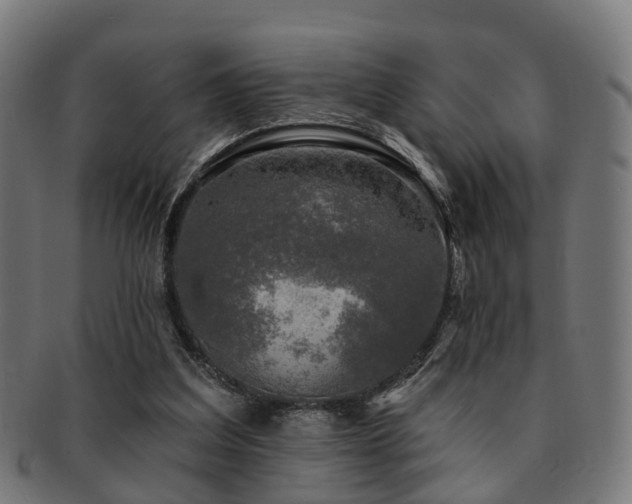 X0000091890203200709051350