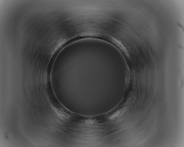 X0000091890204200709051350