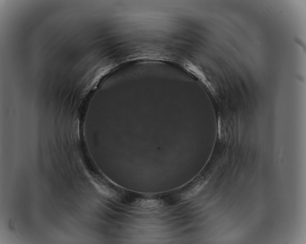 X0000091890205200709051350