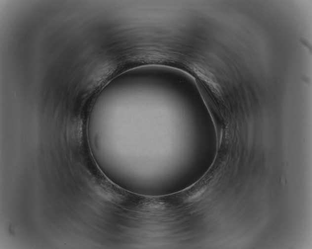 X0000091890206200709051350