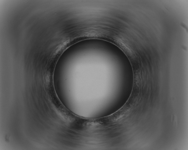 X0000091890208200709051350