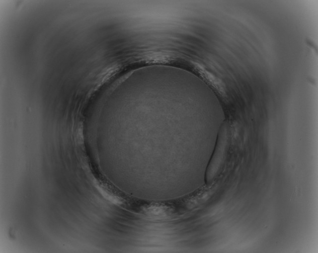 X0000091890209200709051350