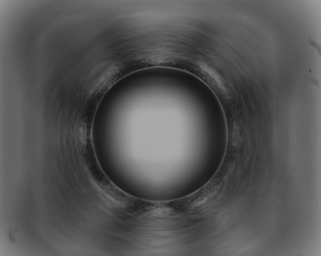 X0000091890210200709051350
