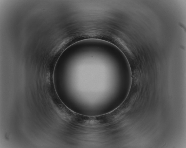 X0000091890212200709051350