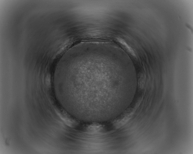 X0000091890213200709051350
