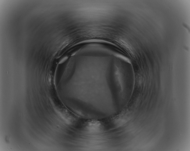 X0000091890214200709051350
