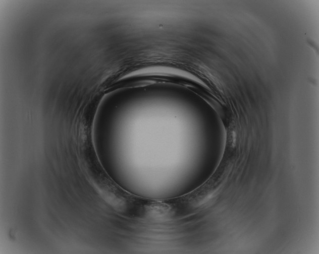 X0000091890215200709051350
