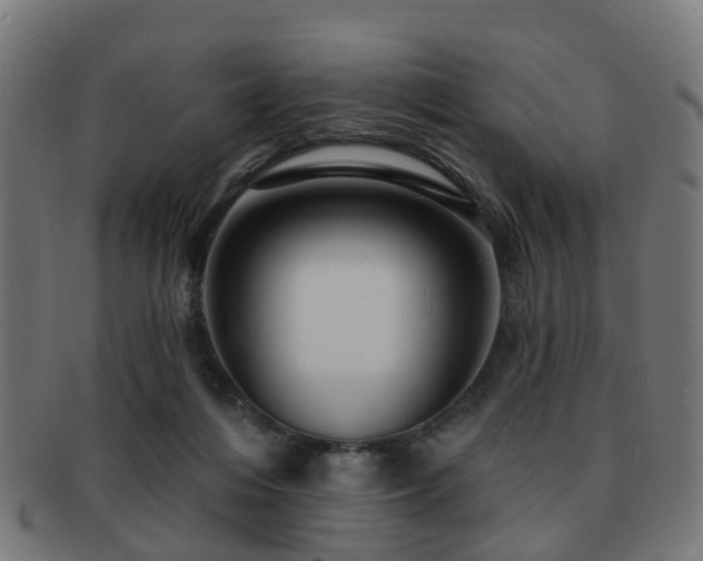 X0000091890216200709051350