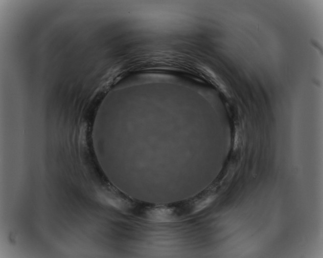 X0000091890217200709051350