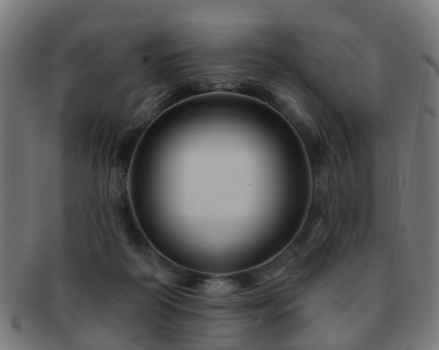 X0000091890218200709051350