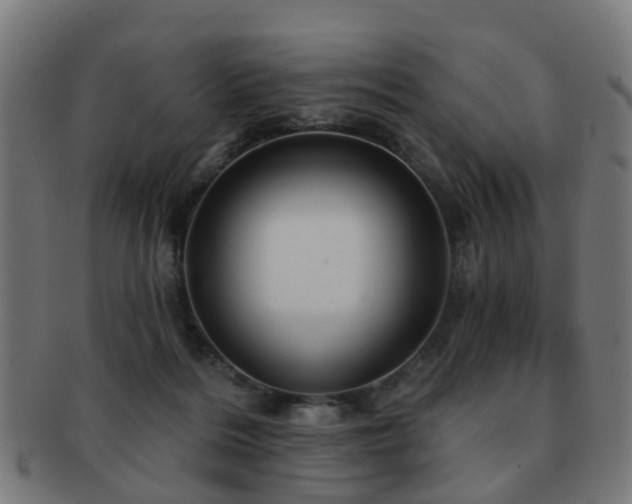 X0000091890220200709051349