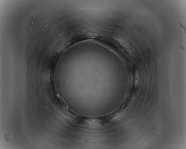 X0000091890221200709051349