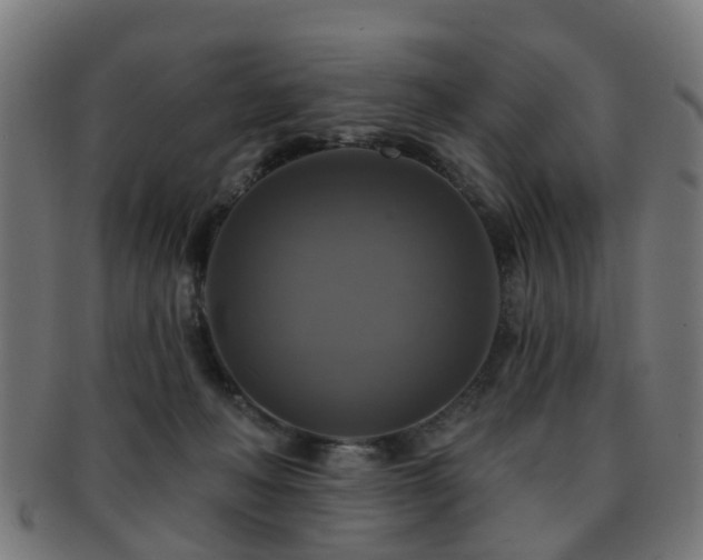 X0000091890222200709051349