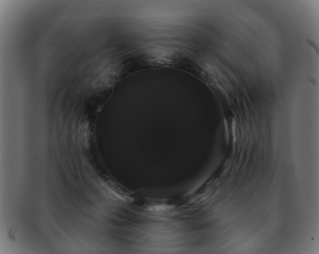 X0000091890223200709051349