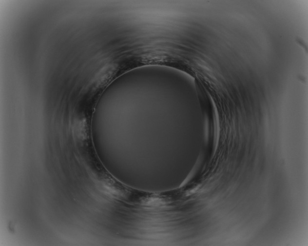 X0000091890224200709051349