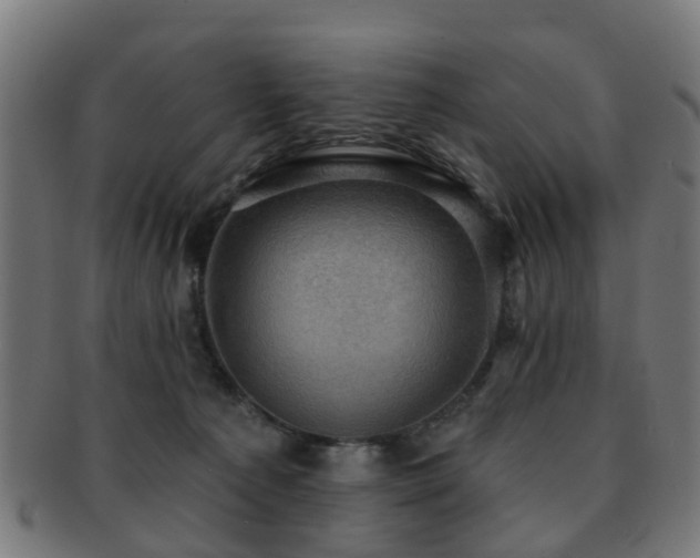 X0000091890225200709051349
