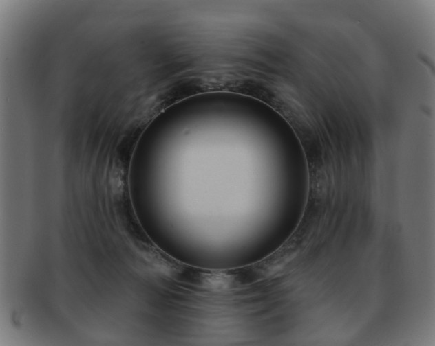 X0000091890226200709051349