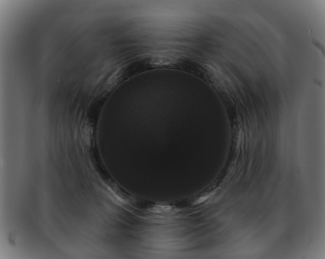 X0000091890227200709051349