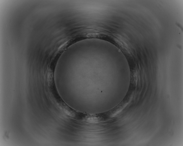 X0000091890228200709051349