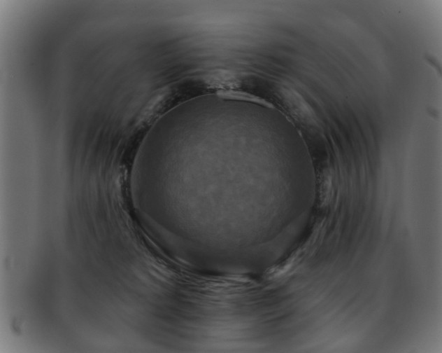 X0000091890229200709051349