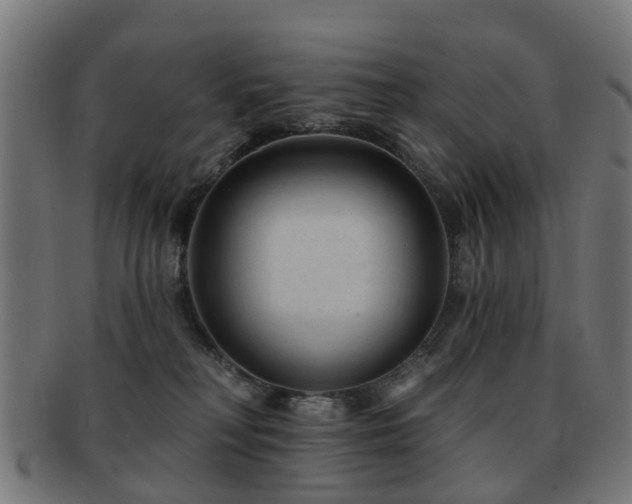X0000091890230200709051349