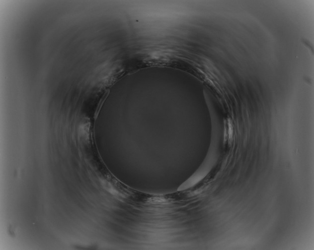 X0000091890231200709051349