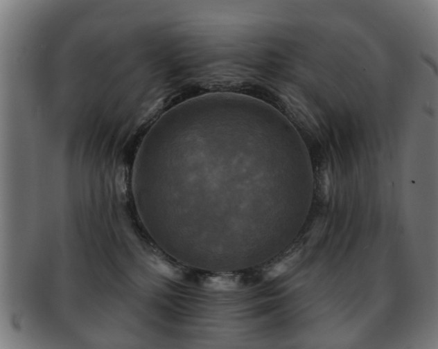 X0000091890232200709051349