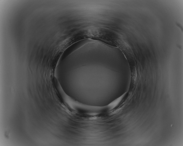 X0000091890233200709051349
