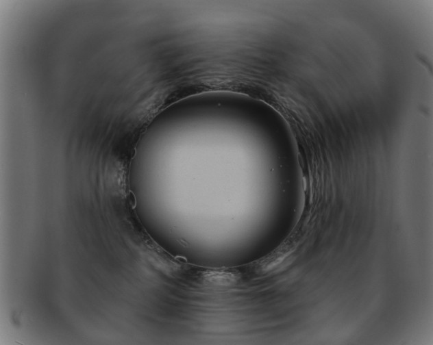 X0000091890234200709051349