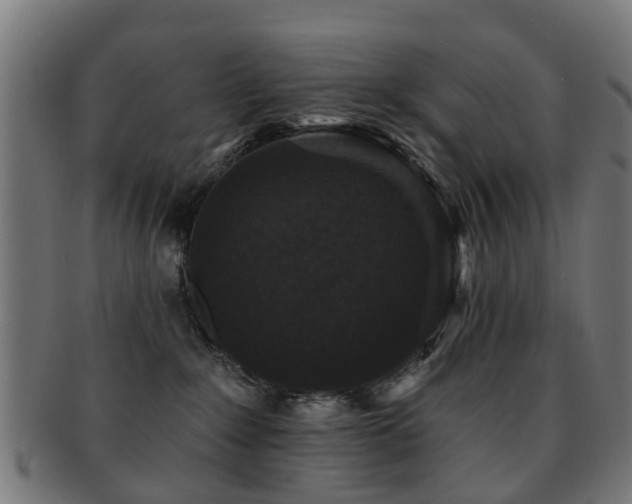 X0000091890235200709051349