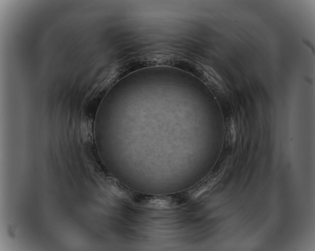 X0000091890236200709051349
