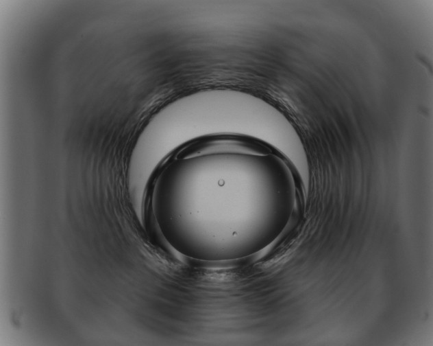 X0000091890237200709051349