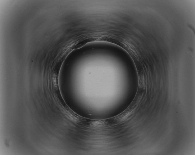 X0000091890238200709051349