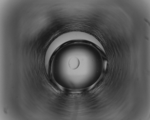 X0000091890239200709051349