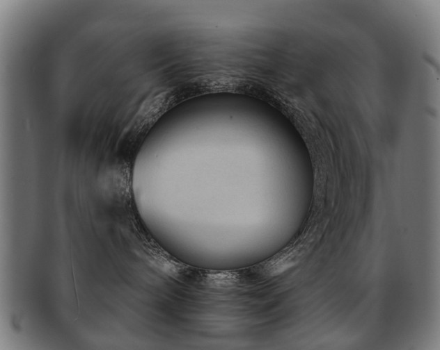 X0000091890240200709051349