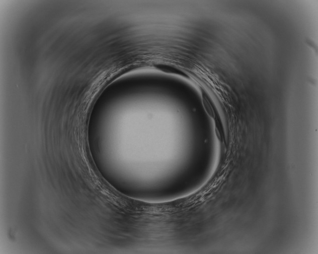 X0000091890241200709051349