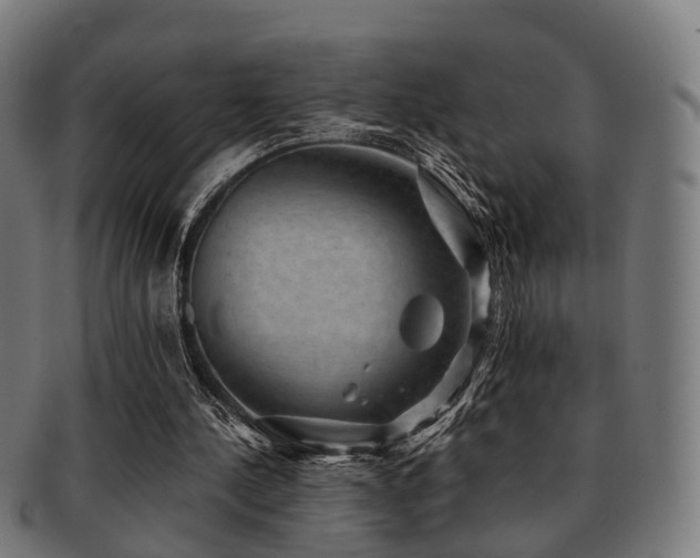 X0000091890244200709051349