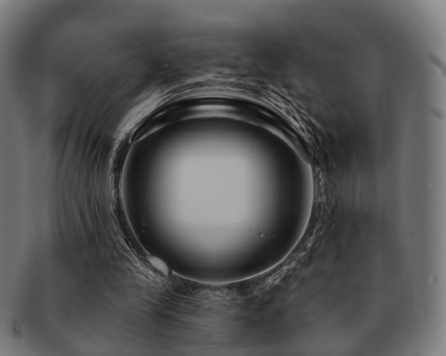 X0000091890245200709051349